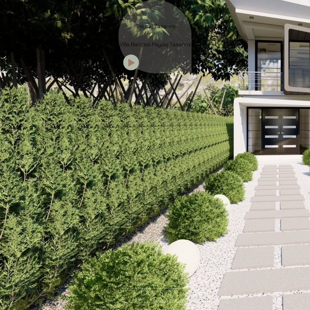 Minimalist Yürüyüş Yolu